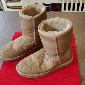 Ugg Gray Boot